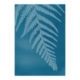 Pteridopsida 2 (Print Only) thumbnail