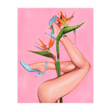 Bird Of Paradise (Print Only) thumbnail