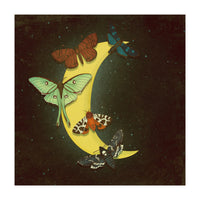 Moth moon (Print Only)