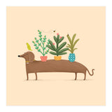 Dachshund And Parrot (Print Only) thumbnail