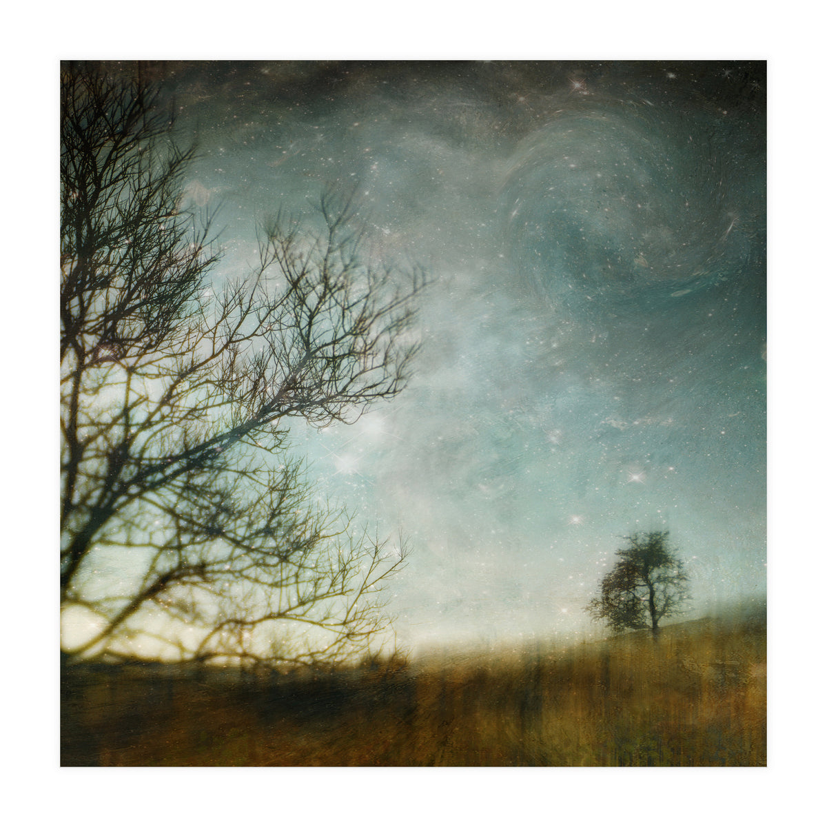 The Tree That Whispered (Print Only)