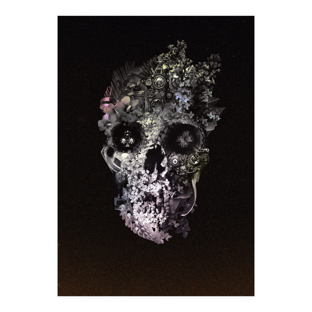 Metamorphosis  (Print Only)