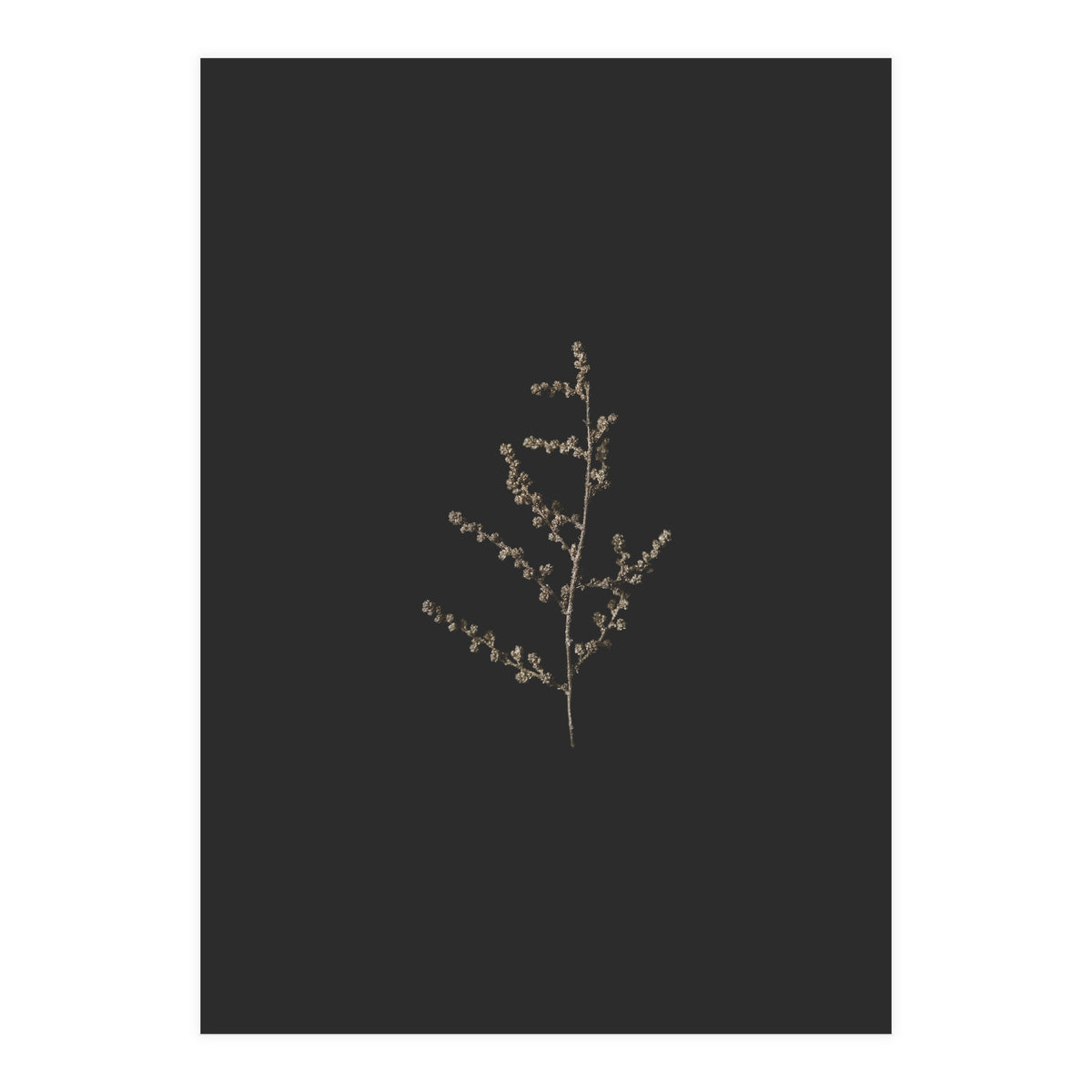 Dainty Botanicals in Gold and Black (Print Only)
