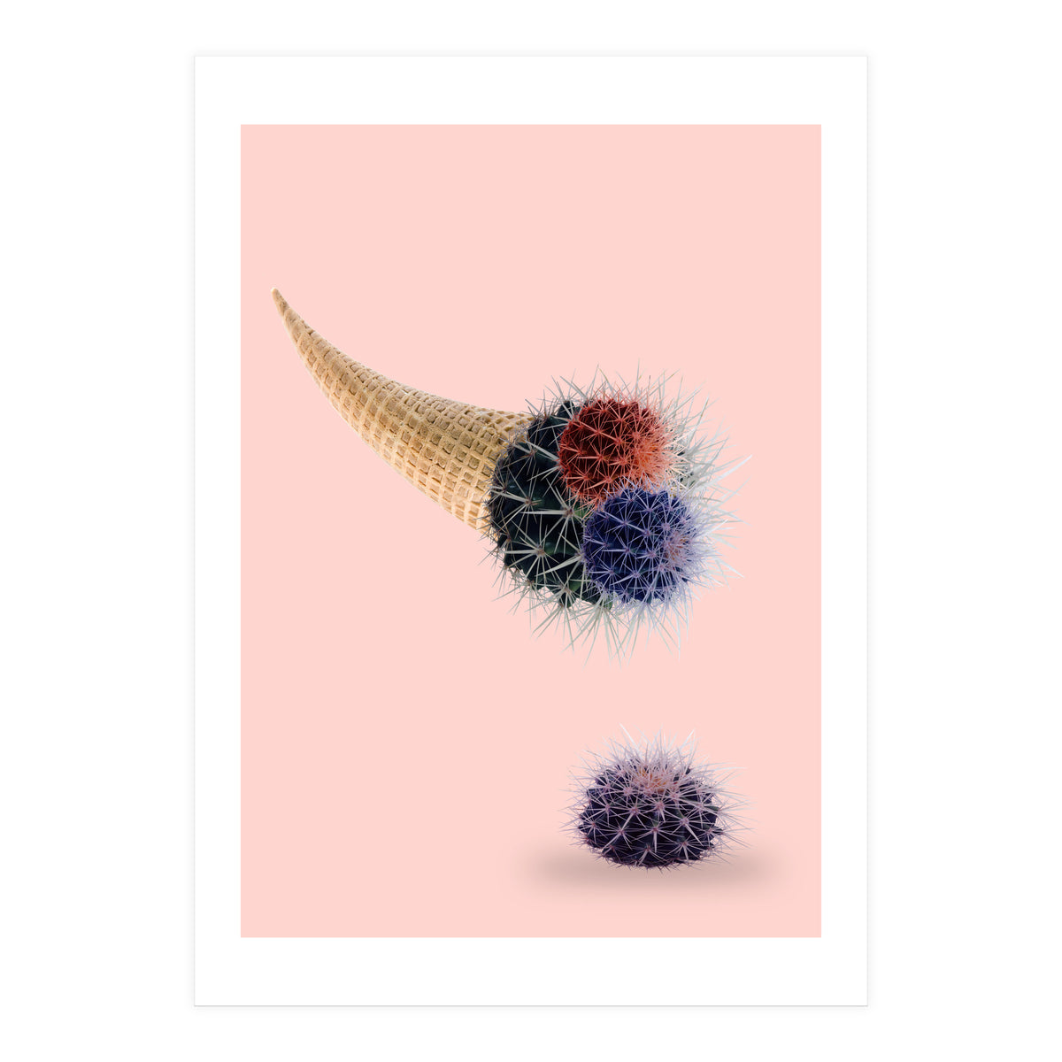 Cactus Cream 50x70 (Print Only)