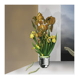 Das Licht Der Pflanze (Print Only) thumbnail
