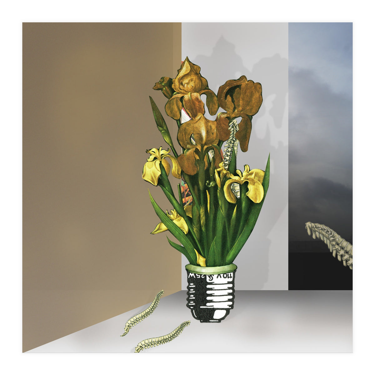 Das Licht Der Pflanze (Print Only)