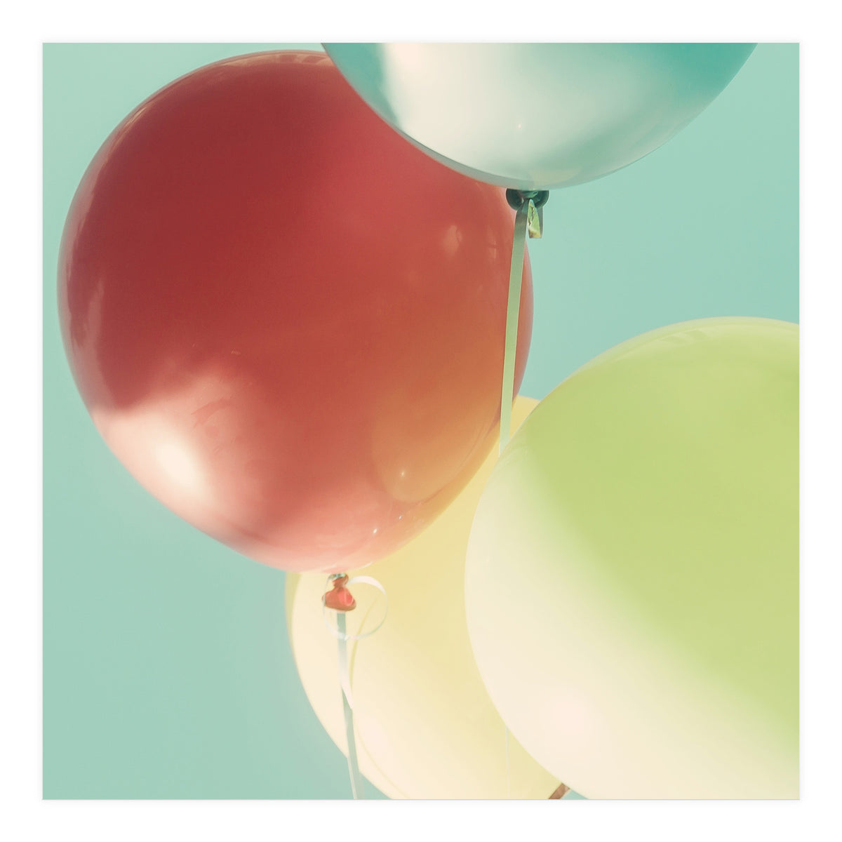 So Much Fun (Print Only)