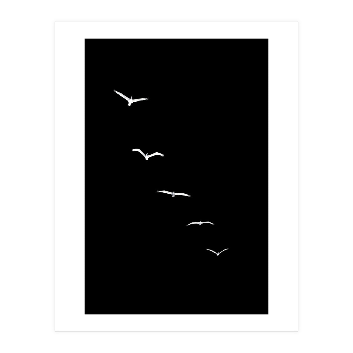 Heavenly Creatures Dark (Print Only)