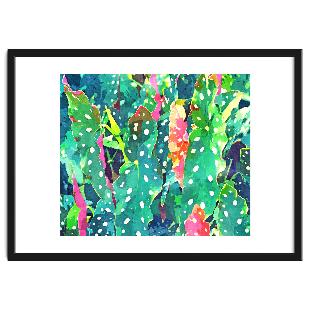 The Polka Dots Plant