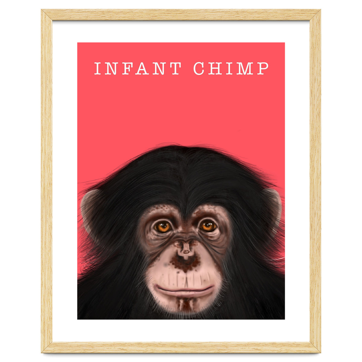 Infant Chimp