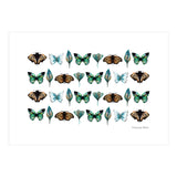 Spring Butterflies (Print Only) thumbnail