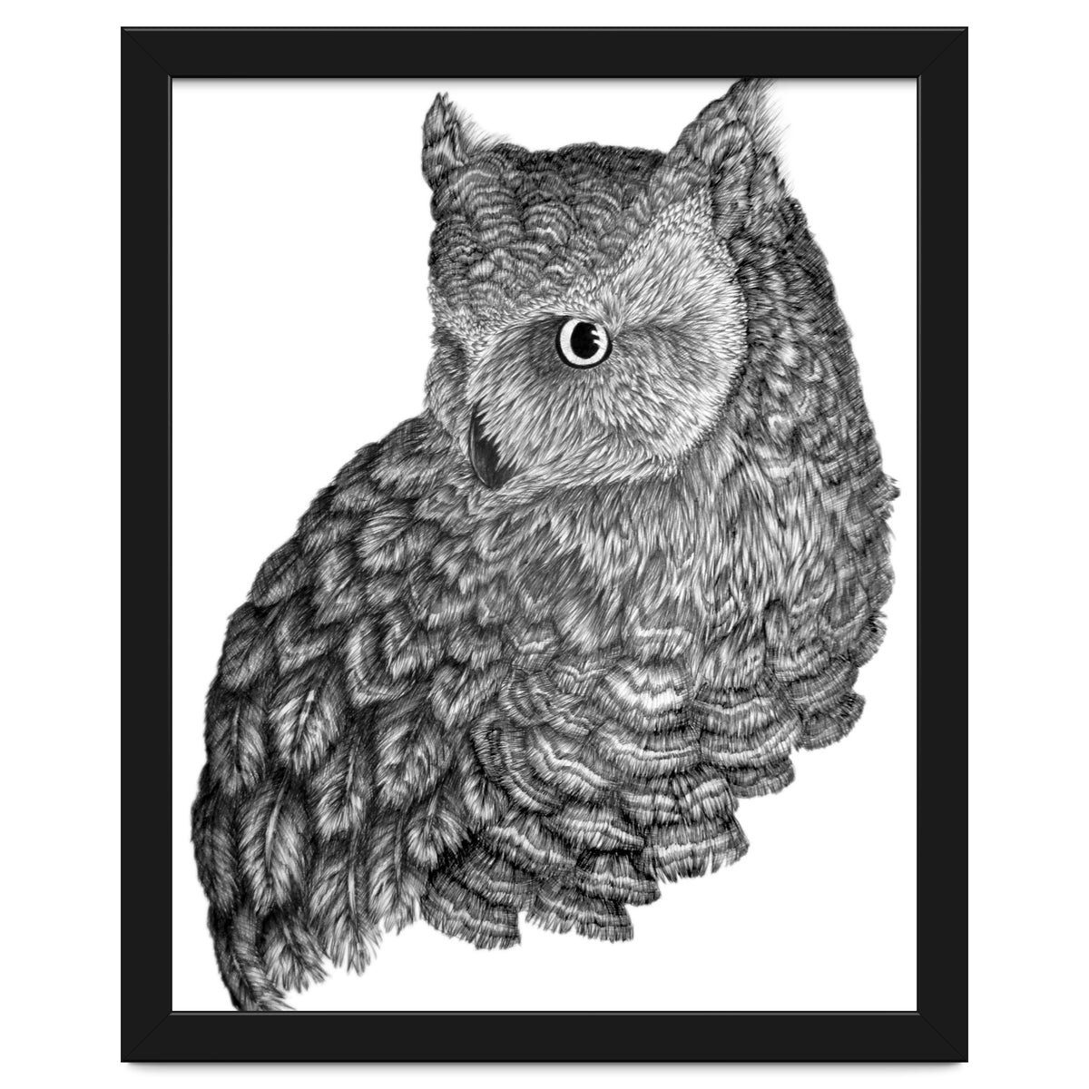 A Friend For Forsythe