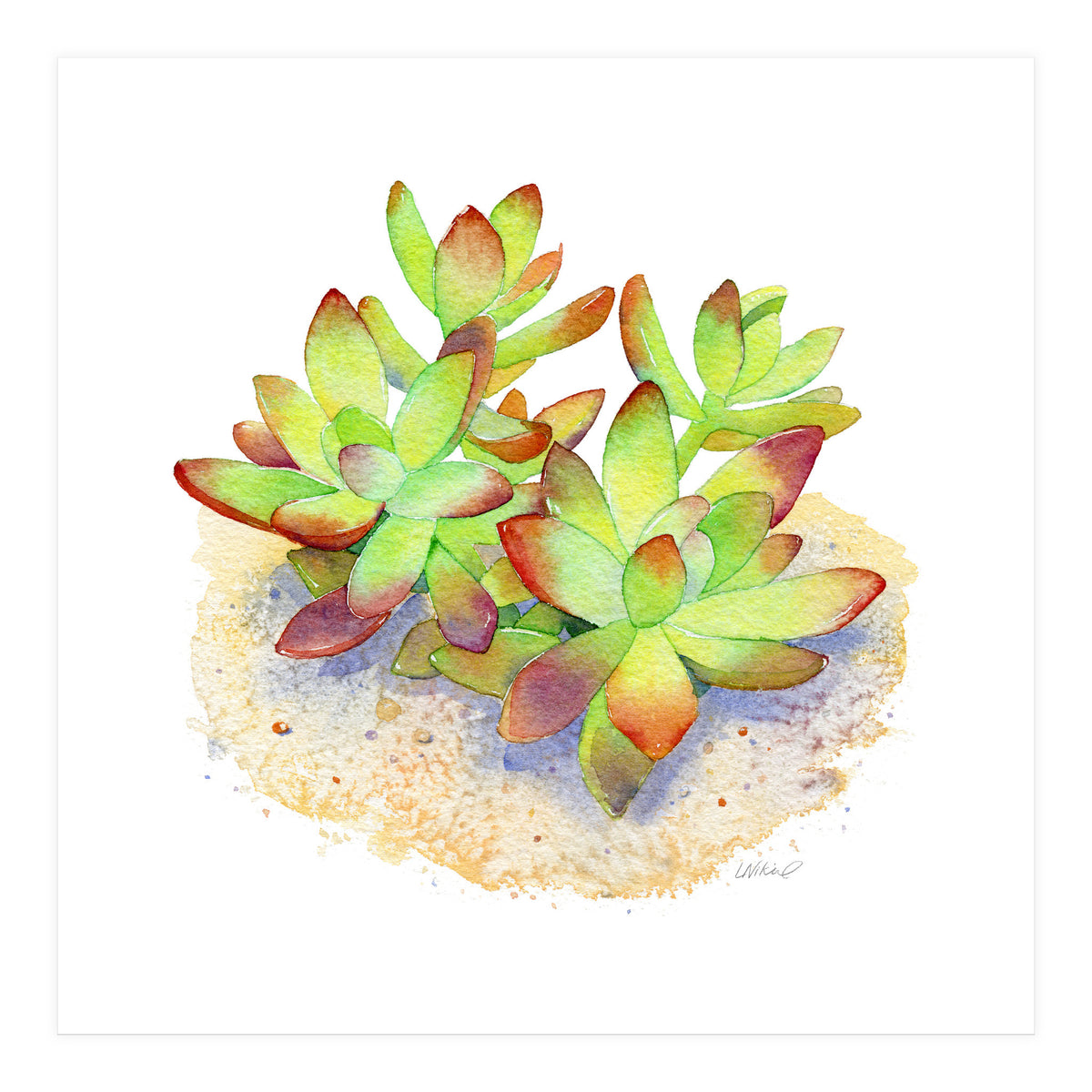 California Sunset Succulent (Print Only)