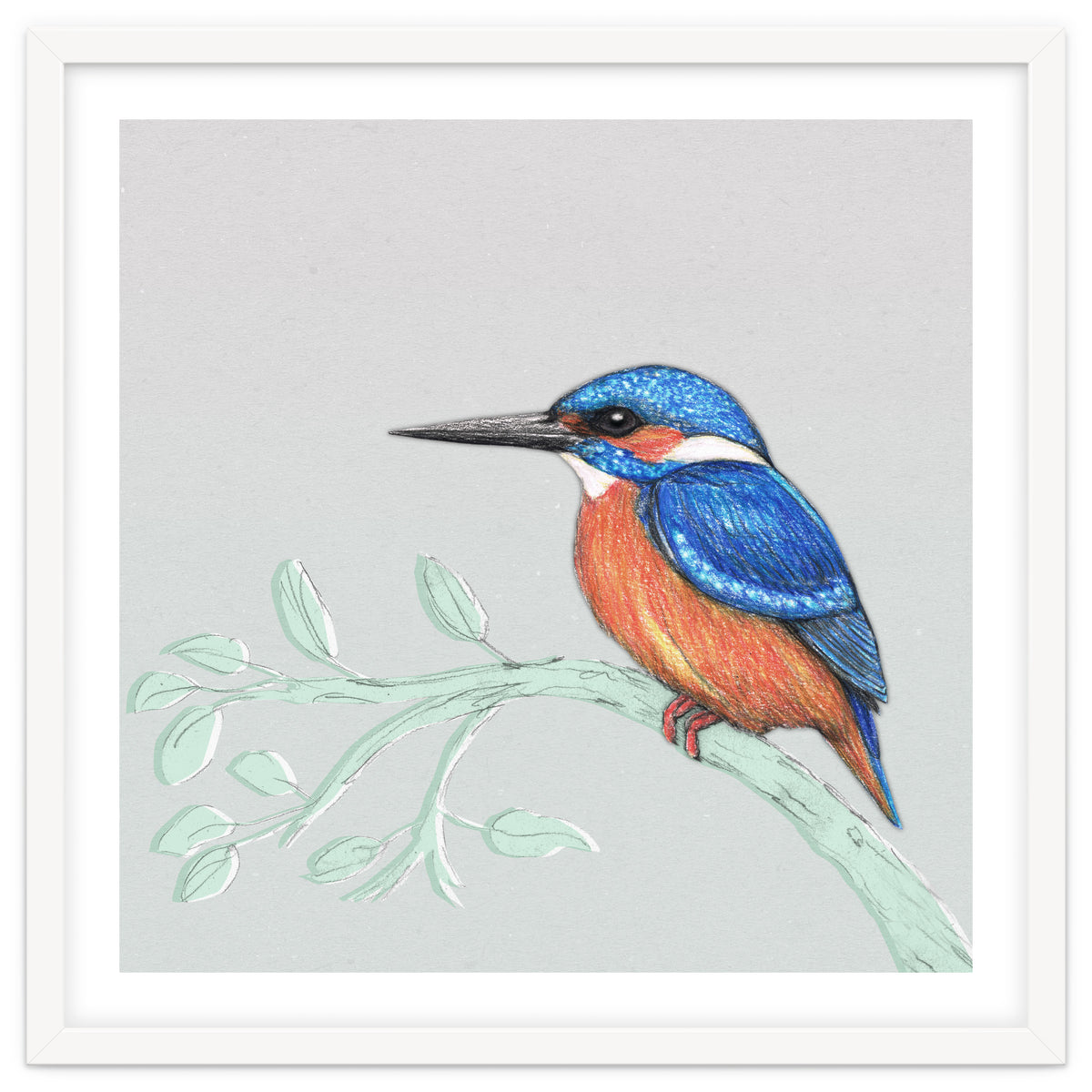 The kingfisher