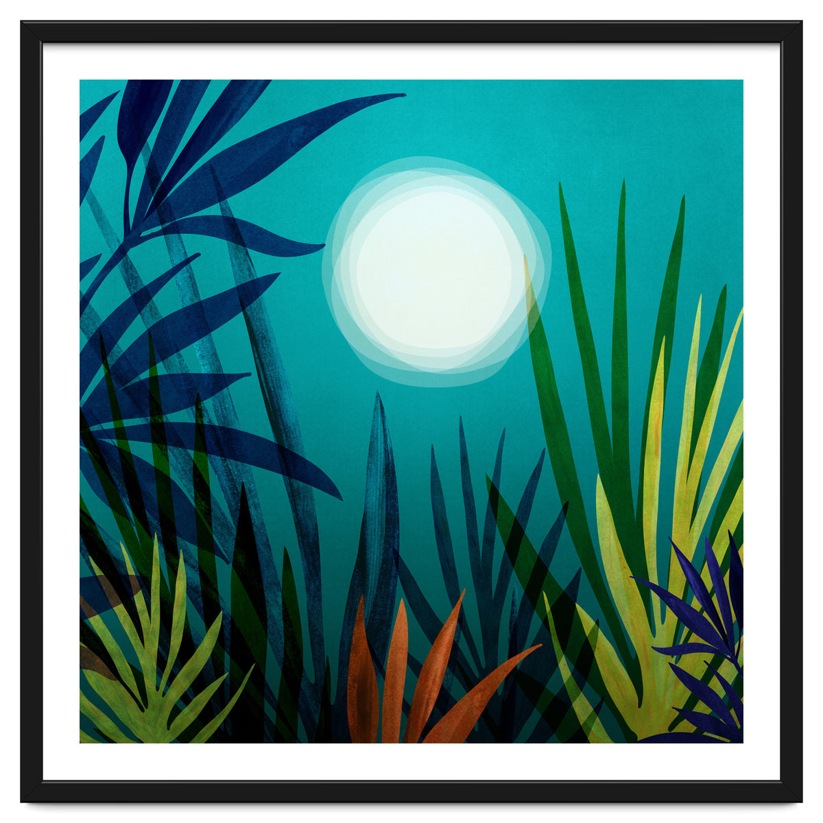 Midnight In The Jungle