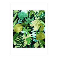 Rainforest Ii (Print Only)