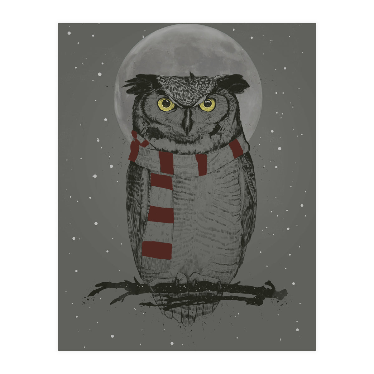 Winter Owl (Print Only)