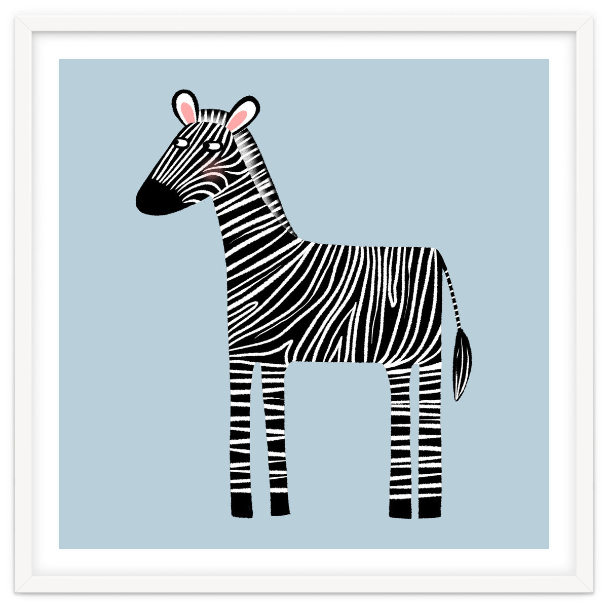 Zebra