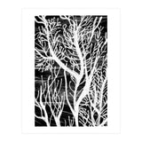 Desert Colours Collection 5 (Print Only) thumbnail