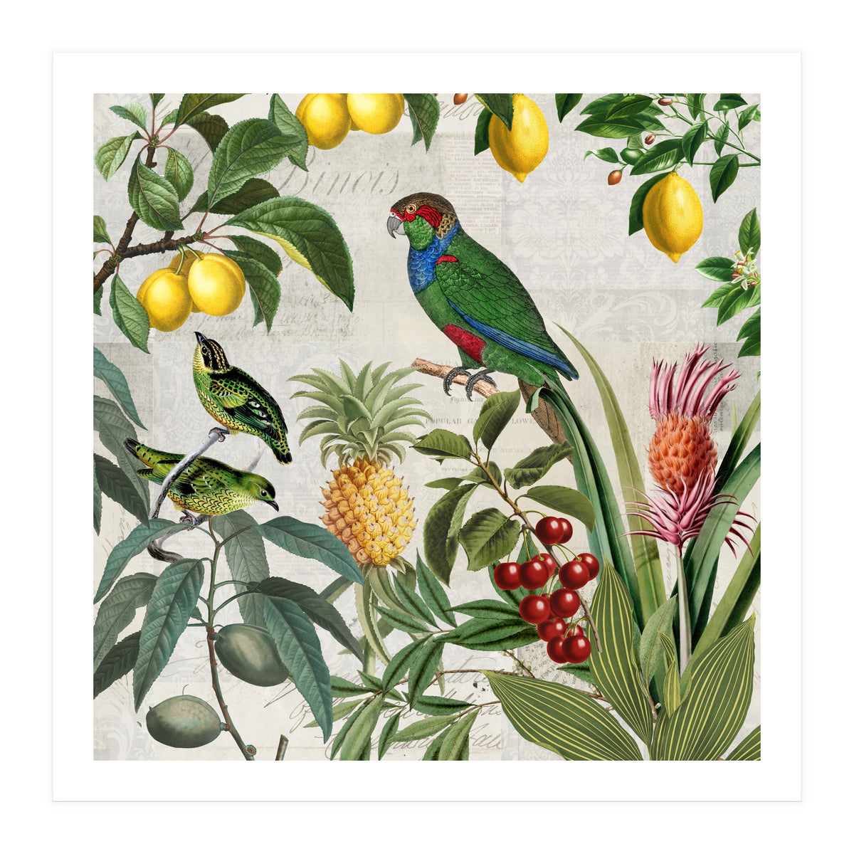 Fruit Paradise (Print Only)