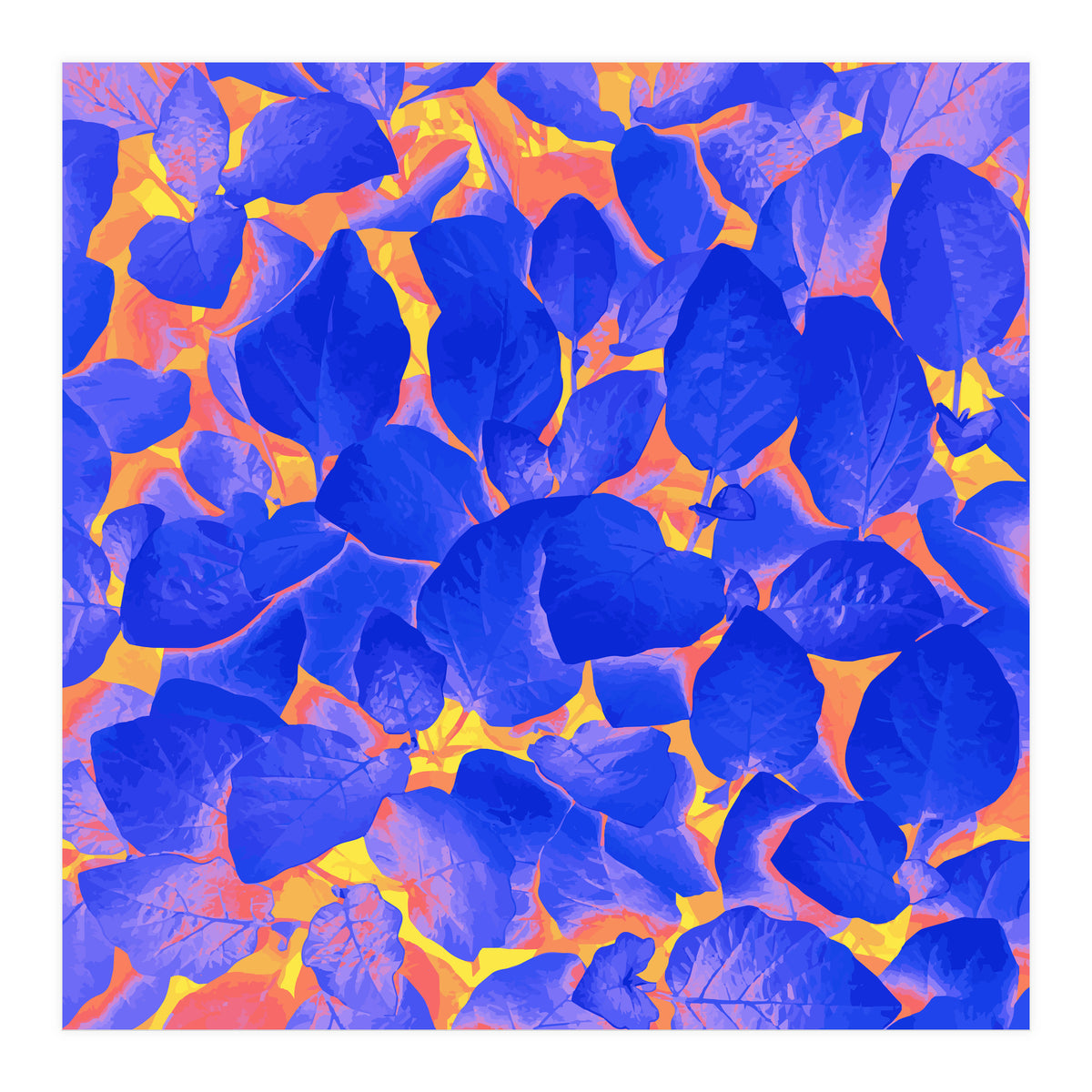 Supercontrast (Print Only)