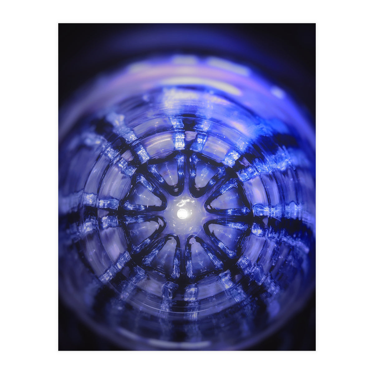 Lucky Reflection (Print Only)