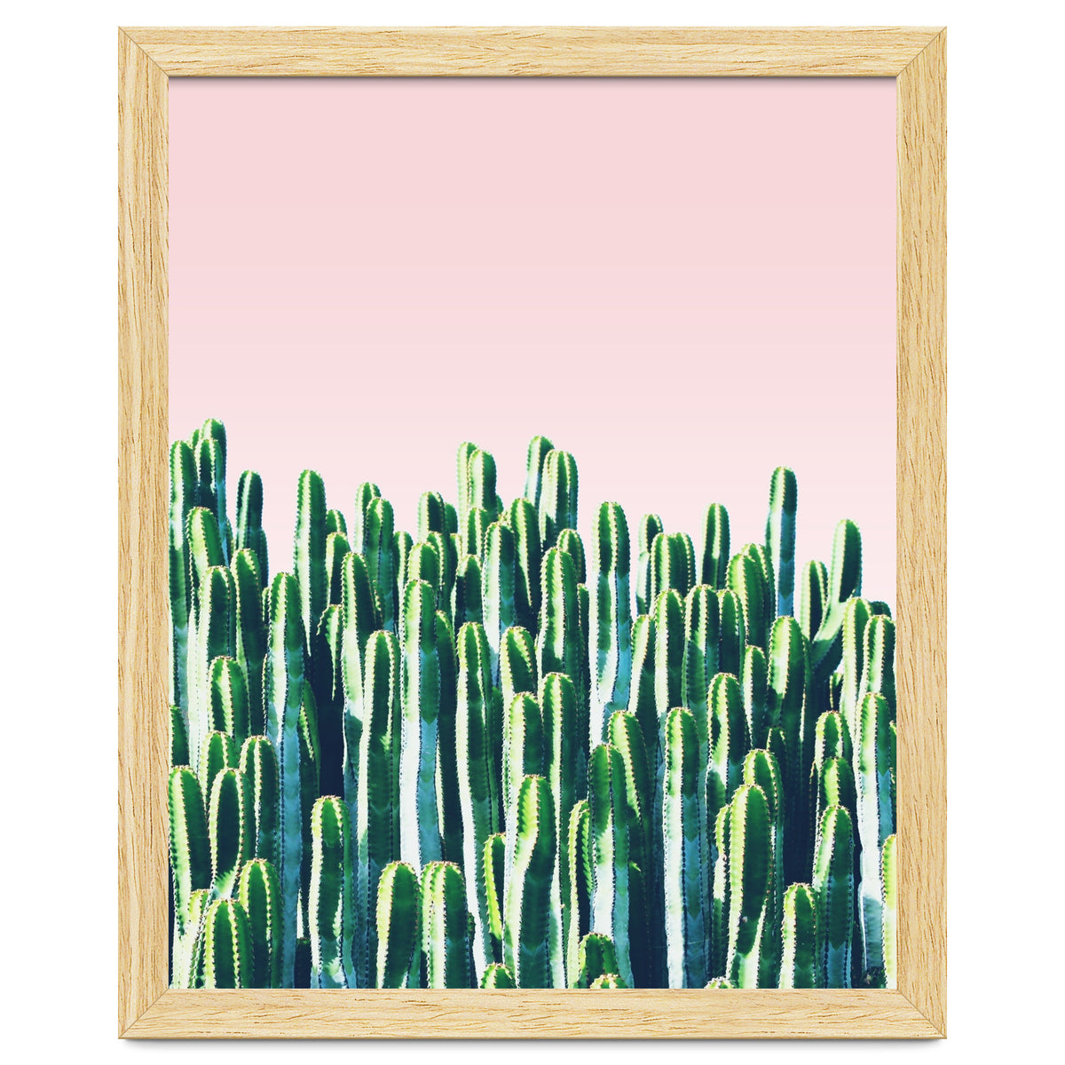 Cactus & Sunset I