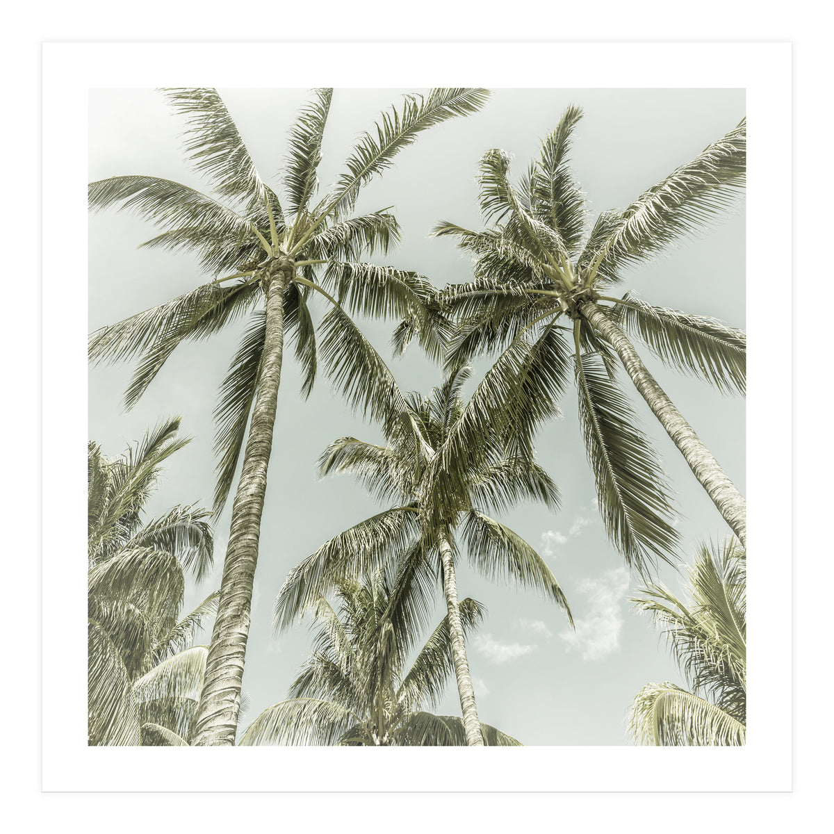 Lovely Palm Trees | Vintage (Print Only)