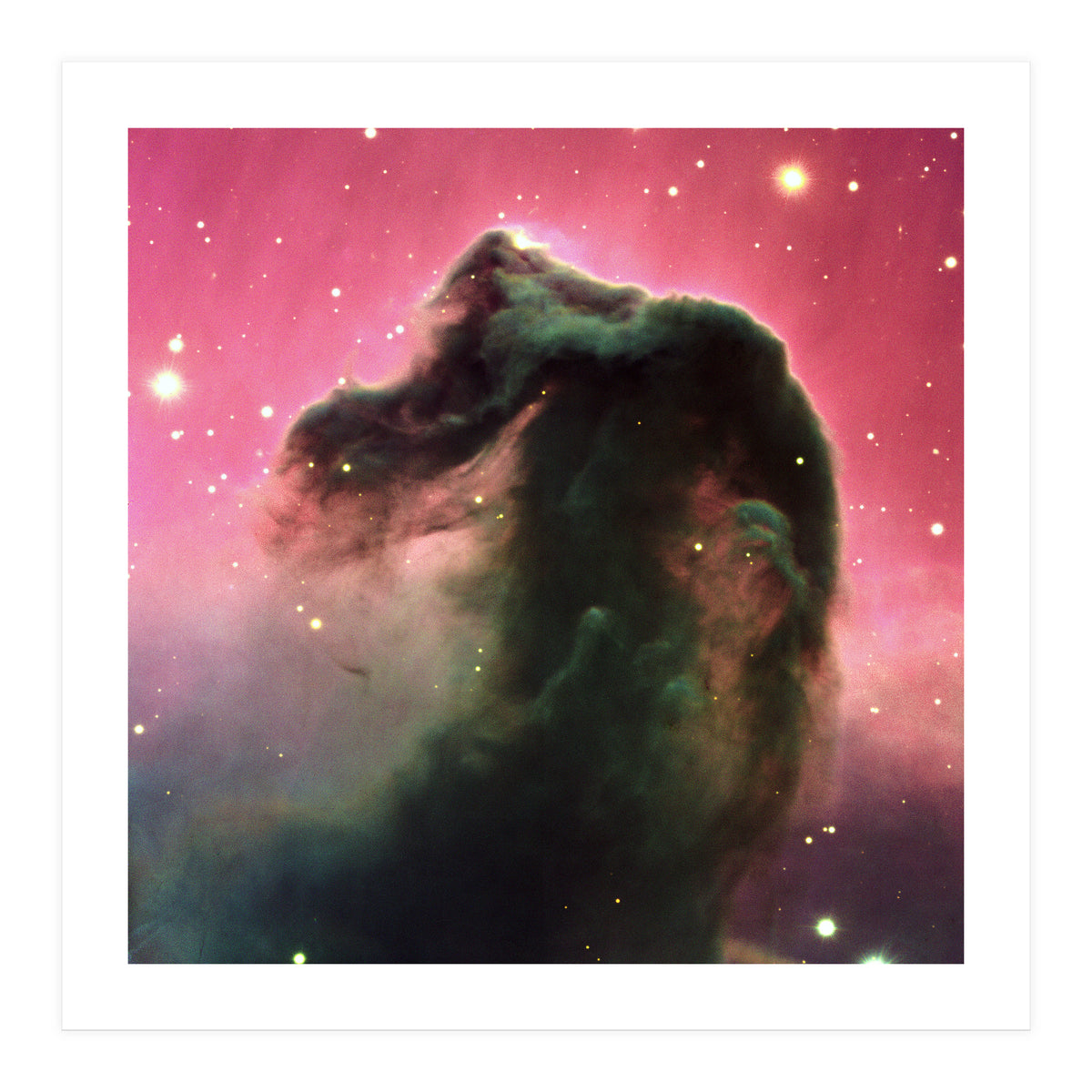 The Horsehead Nebula (Print Only)