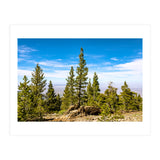 Pine Mountain (Print Only) thumbnail