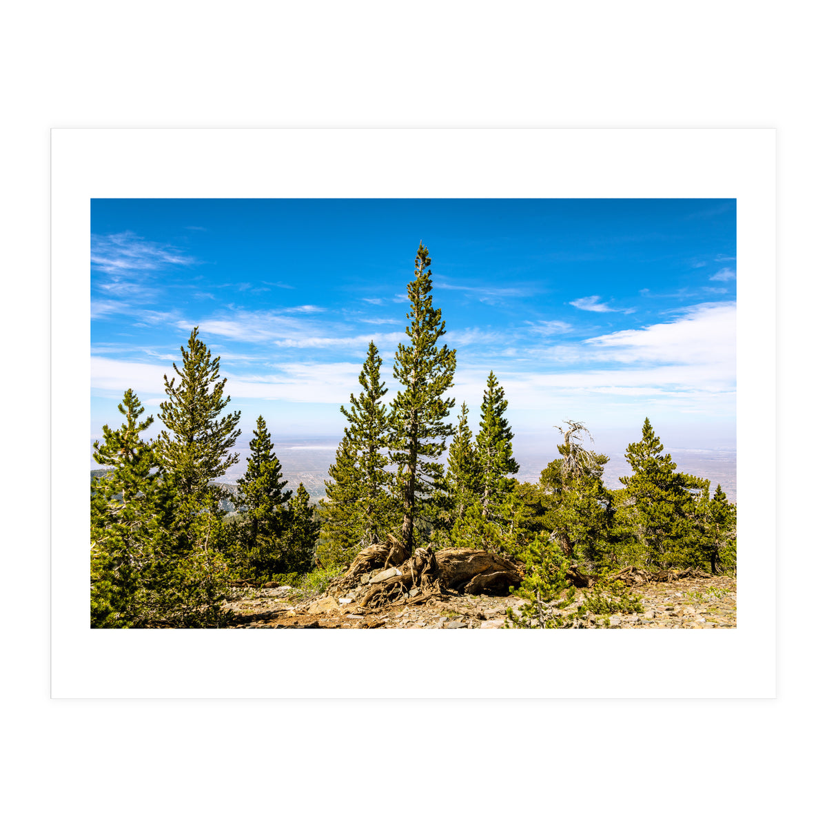 Pine Mountain (Print Only)