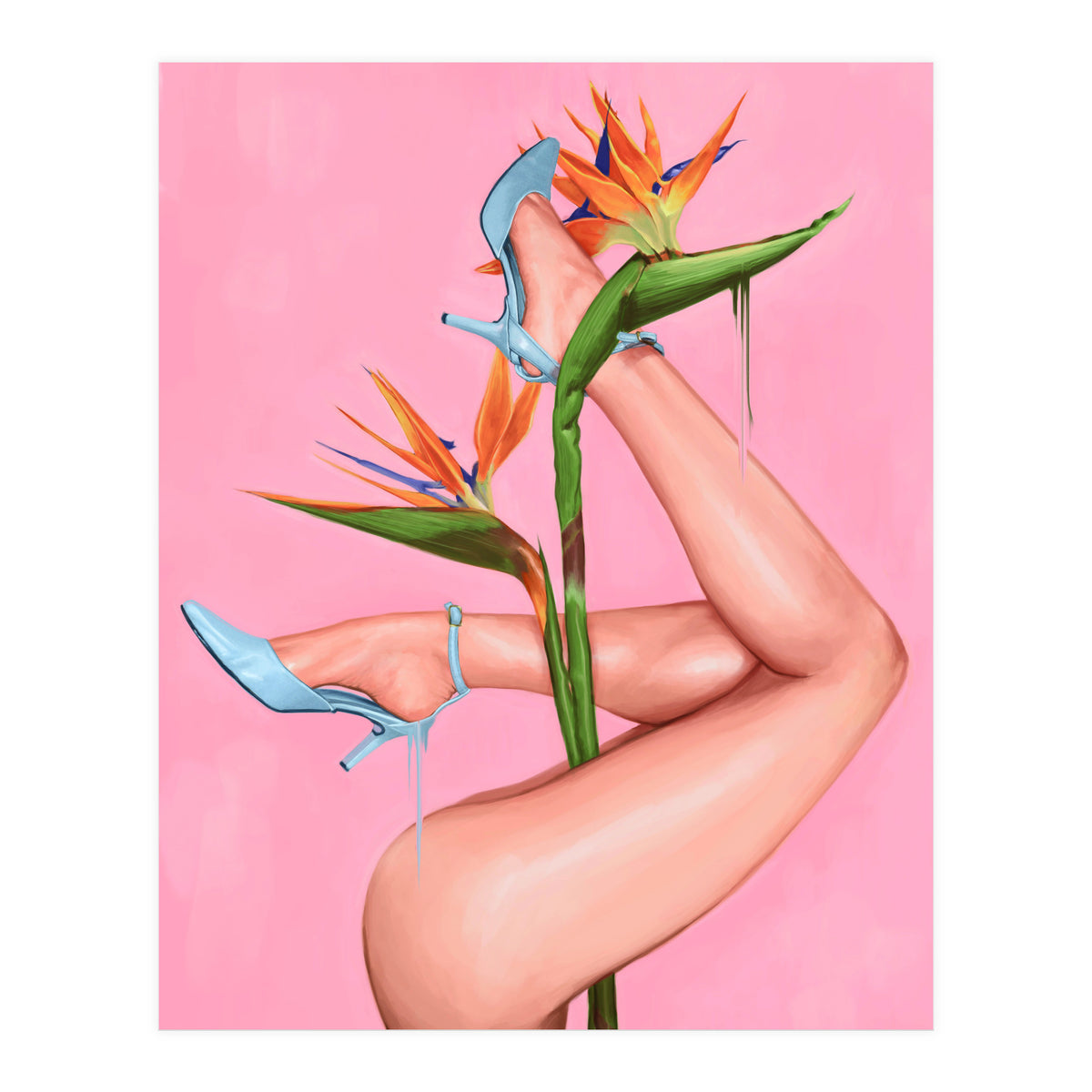 Bird Of Paradise (Print Only)