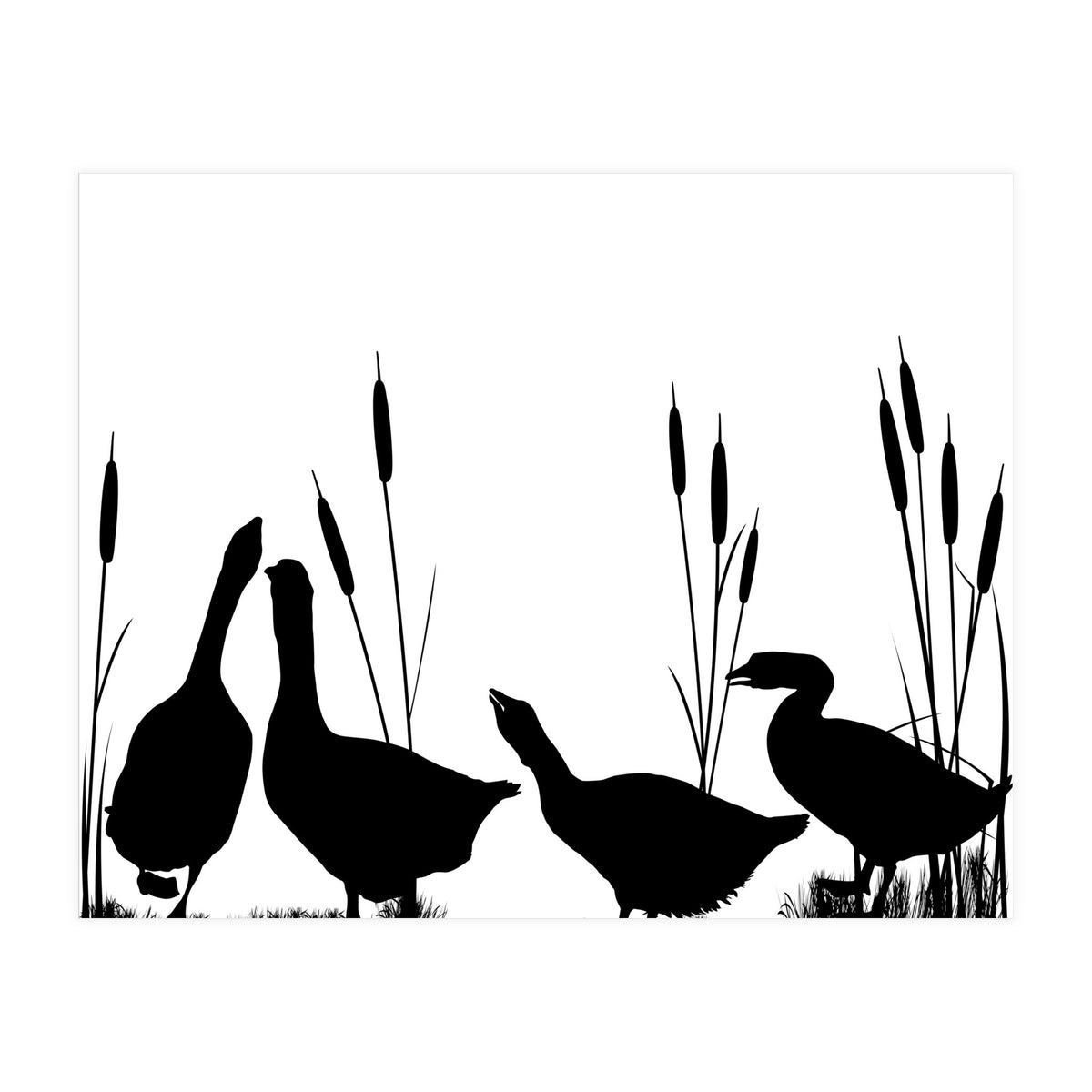 Geeses  (Print Only)