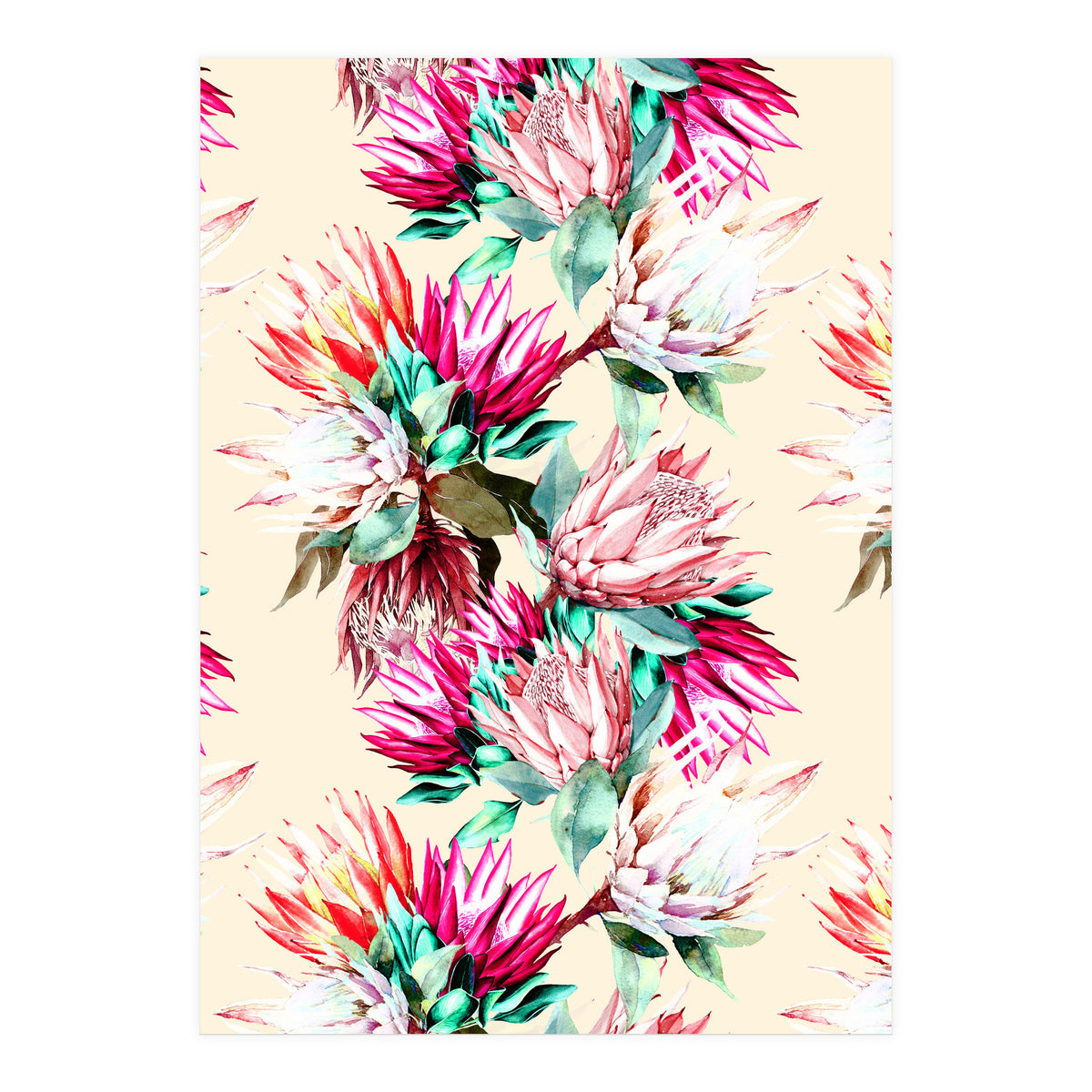 King proteas bloom II (Print Only)