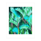 Palm Forest (Print Only) thumbnail