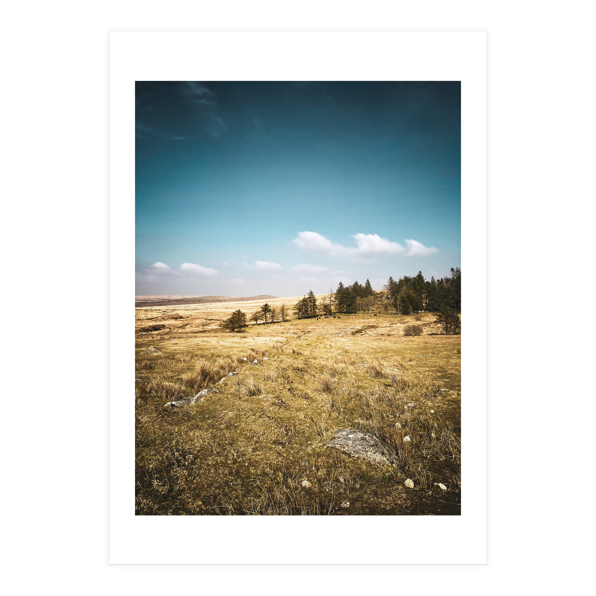 Dartmoor  (Print Only)