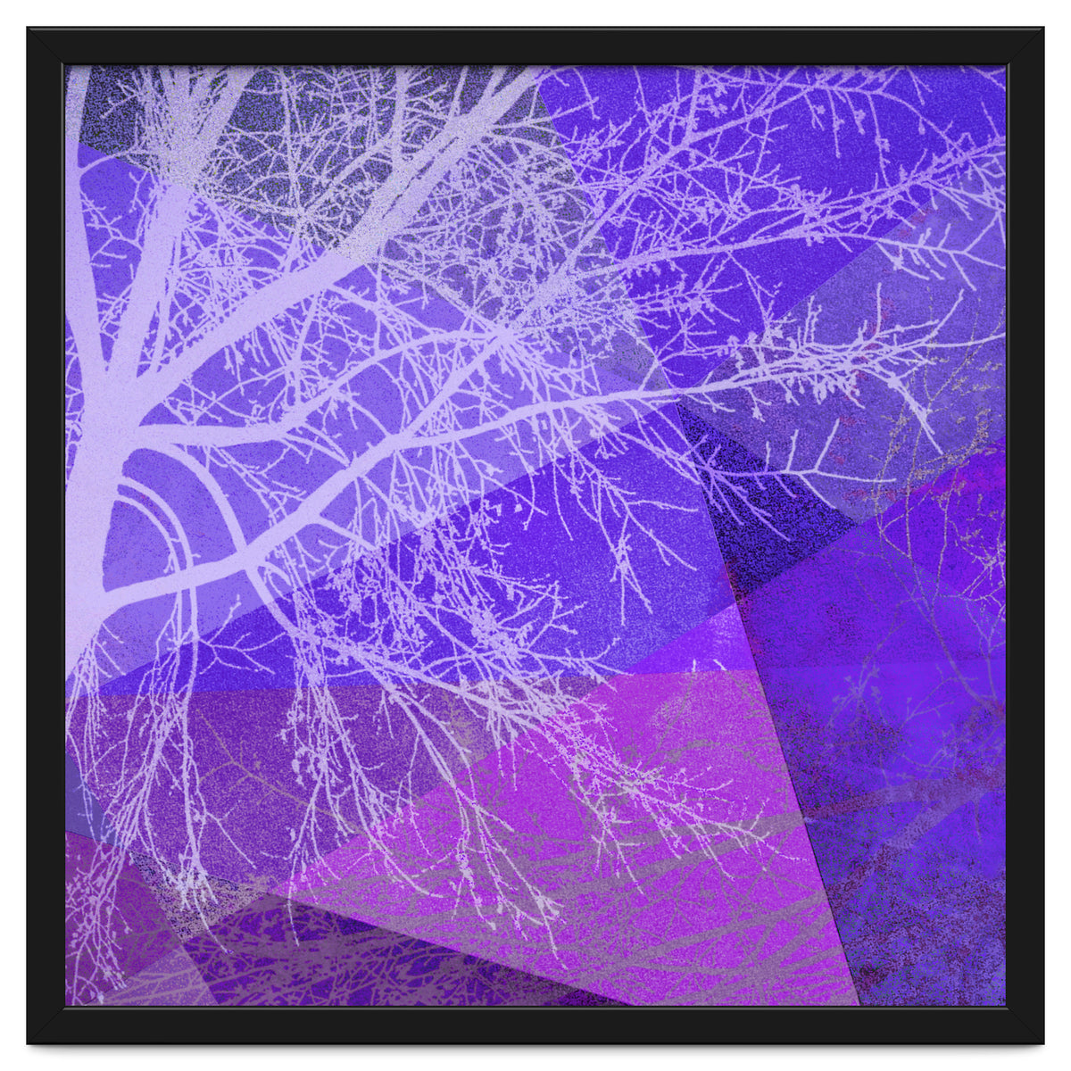 P19-D2 Trees and Triangles