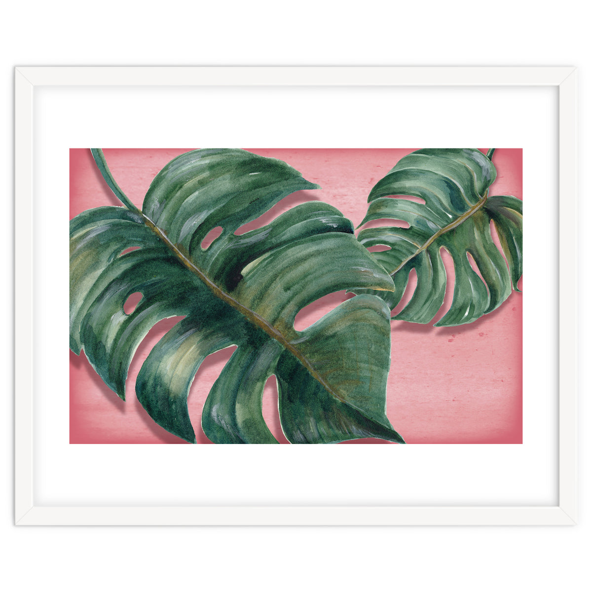 Monstera Leaf