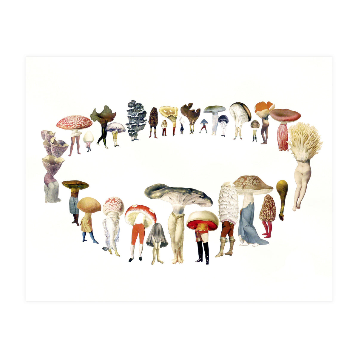 Fairy Ring (Print Only)