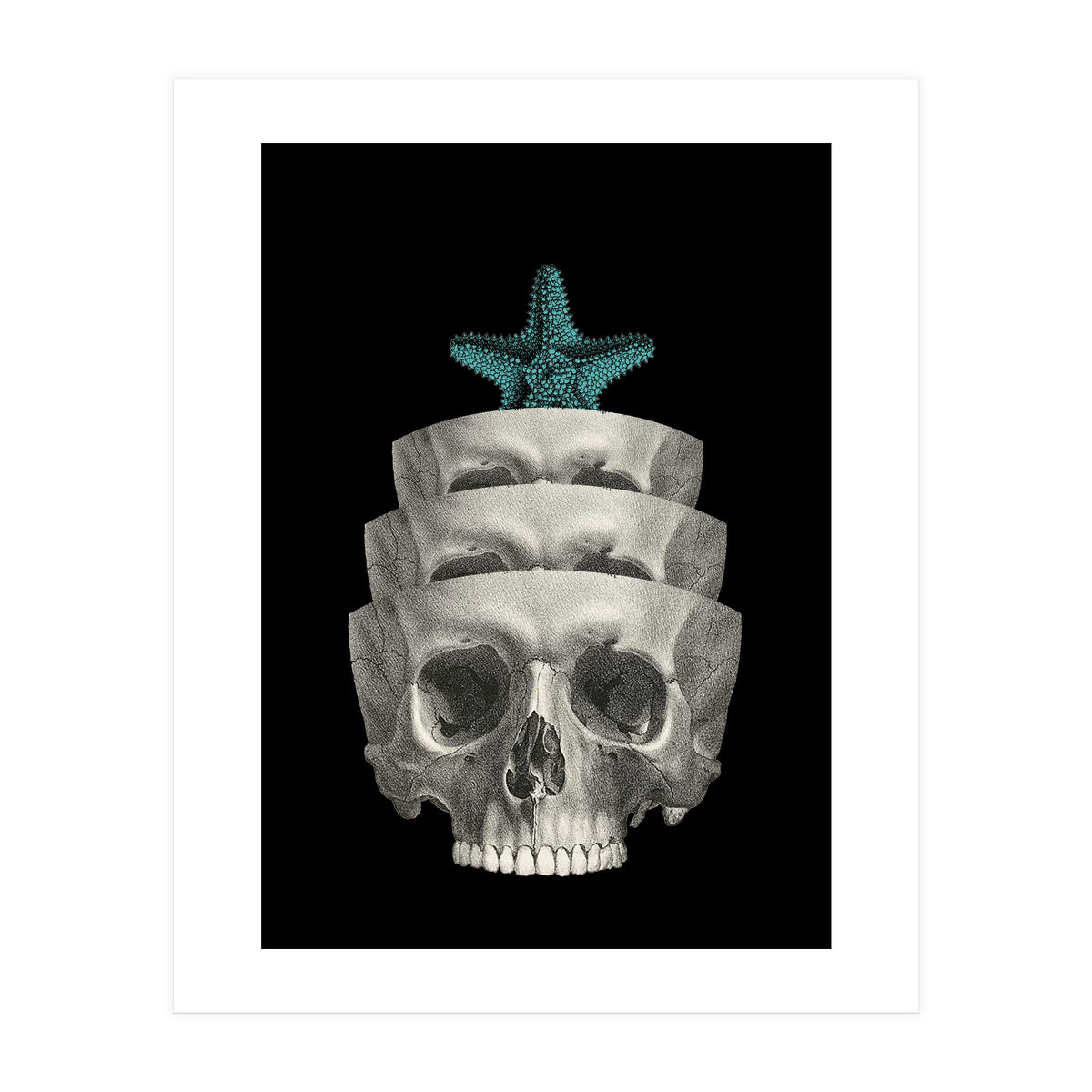 teschio (Print Only)