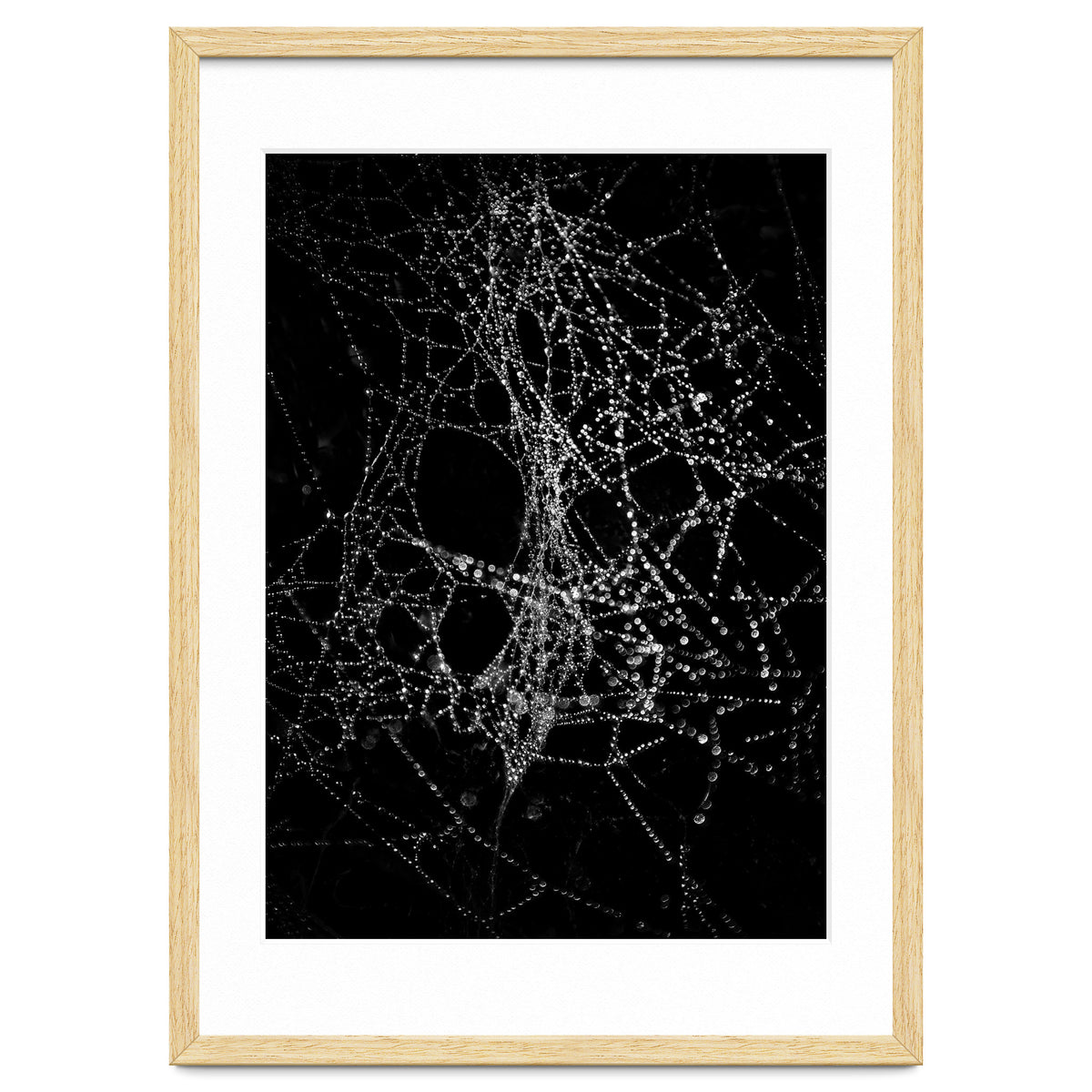 Spiderweb No 4