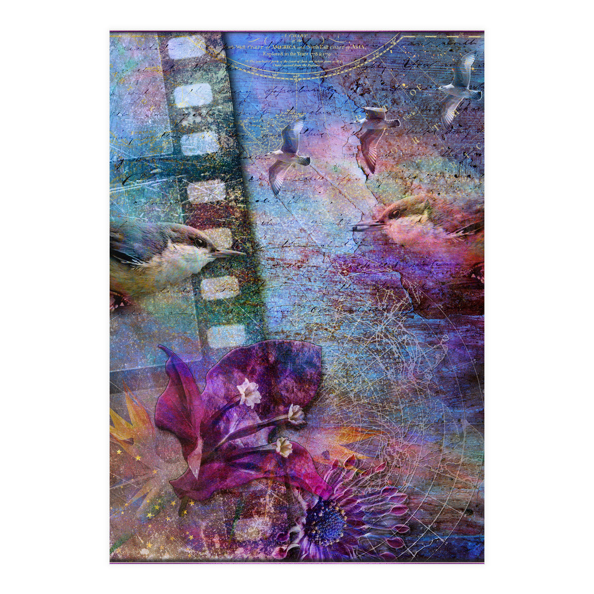 Watching the Wild World (Print Only)