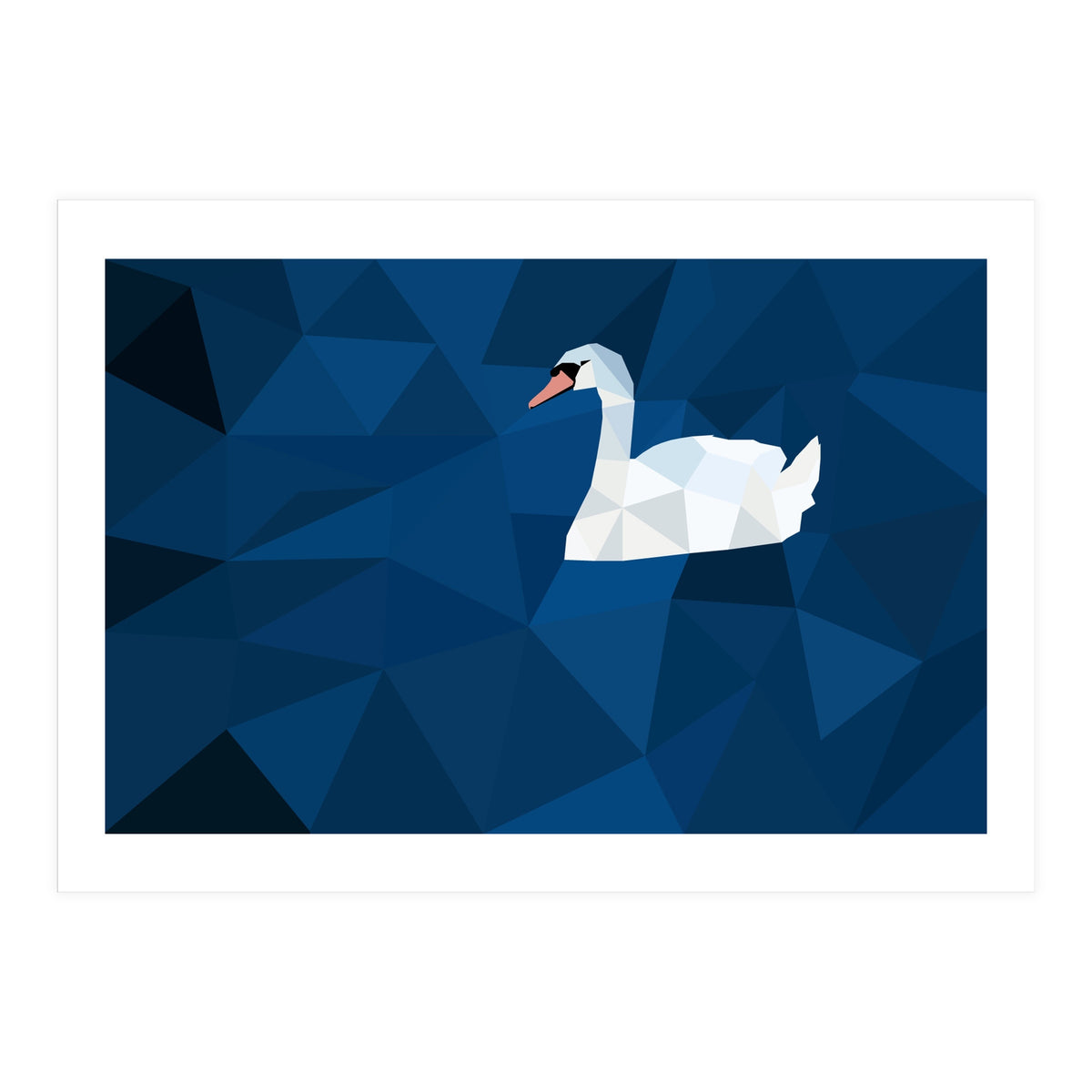 Swan In Water Artwork (Print Only)