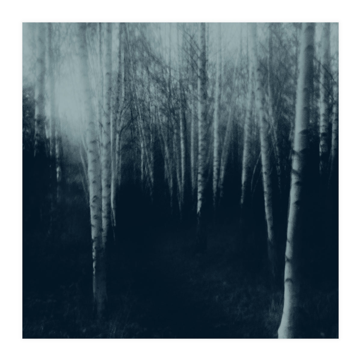 deep veins III (Print Only)