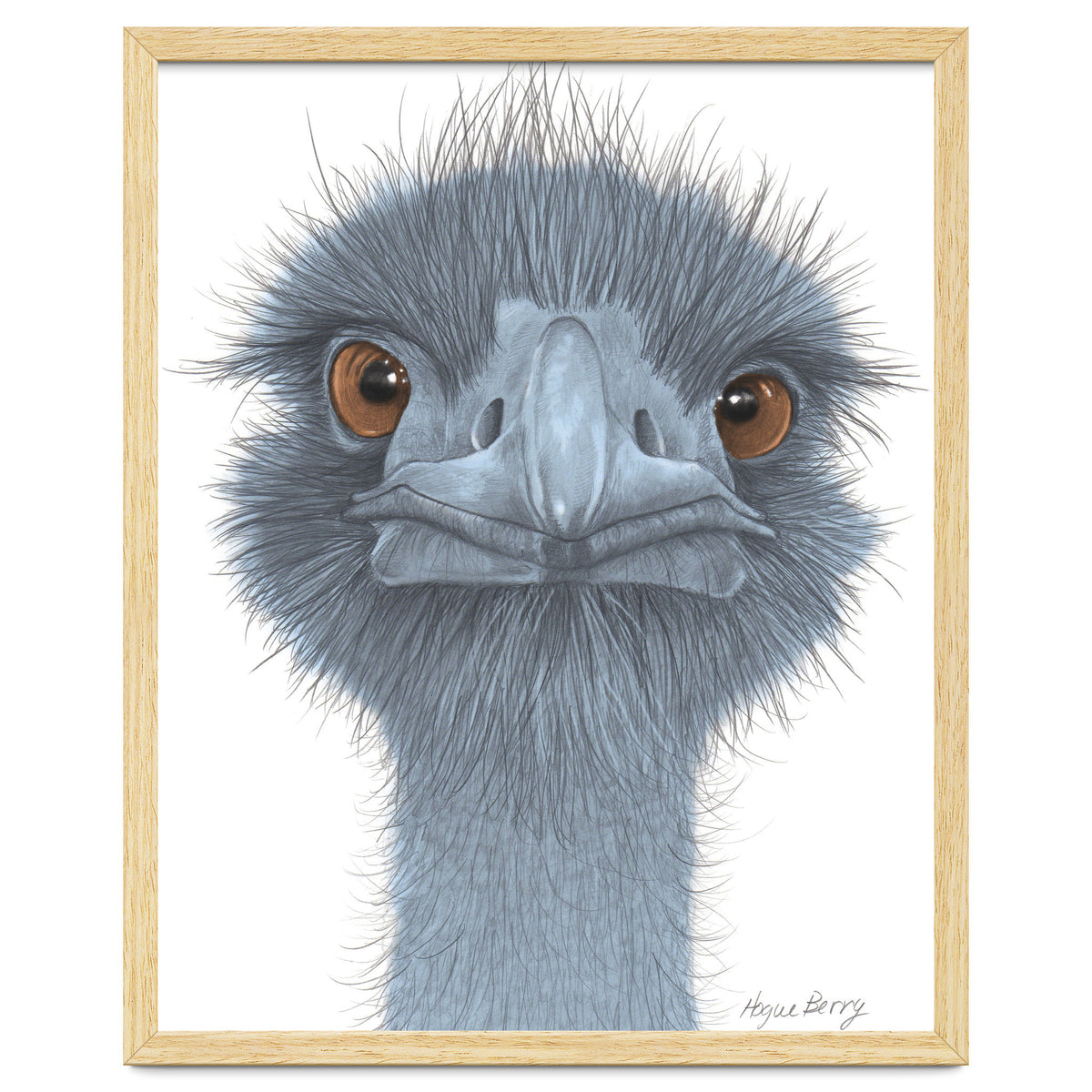 The Blue Emu