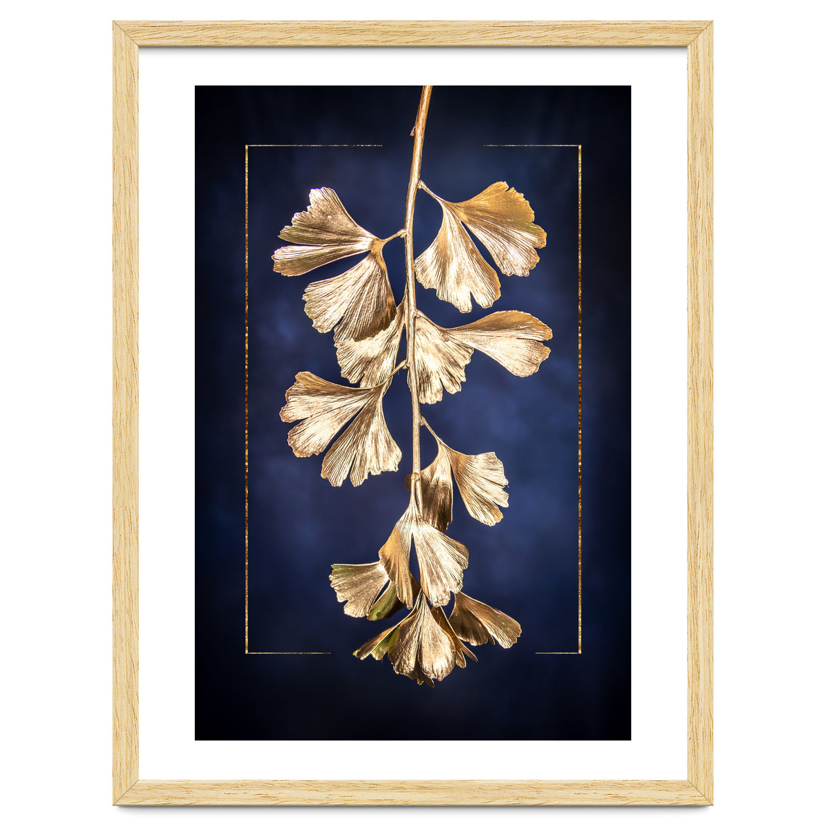 Golden Gingko Tree