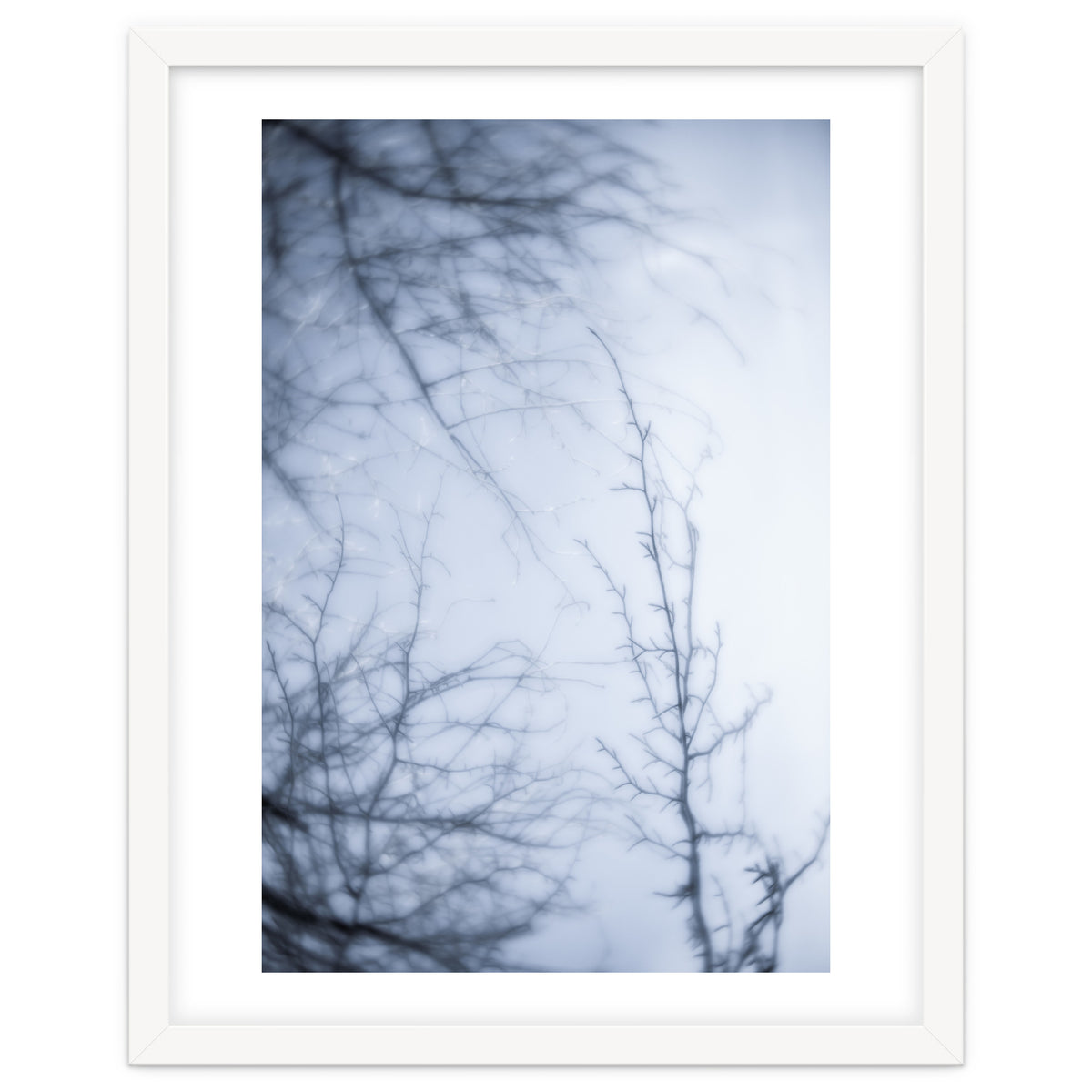 Forgotten Memories of Summer #21