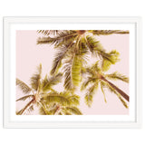 Blush Pink Boho Palm Trees thumbnail