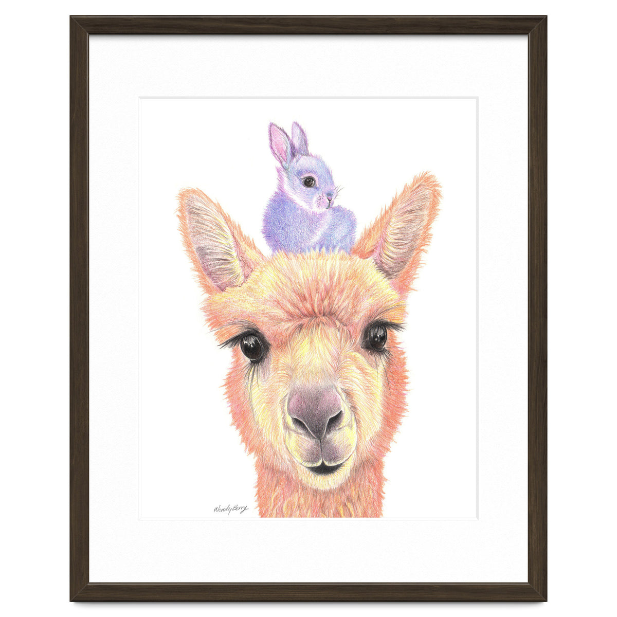 Alpaca and Bunny