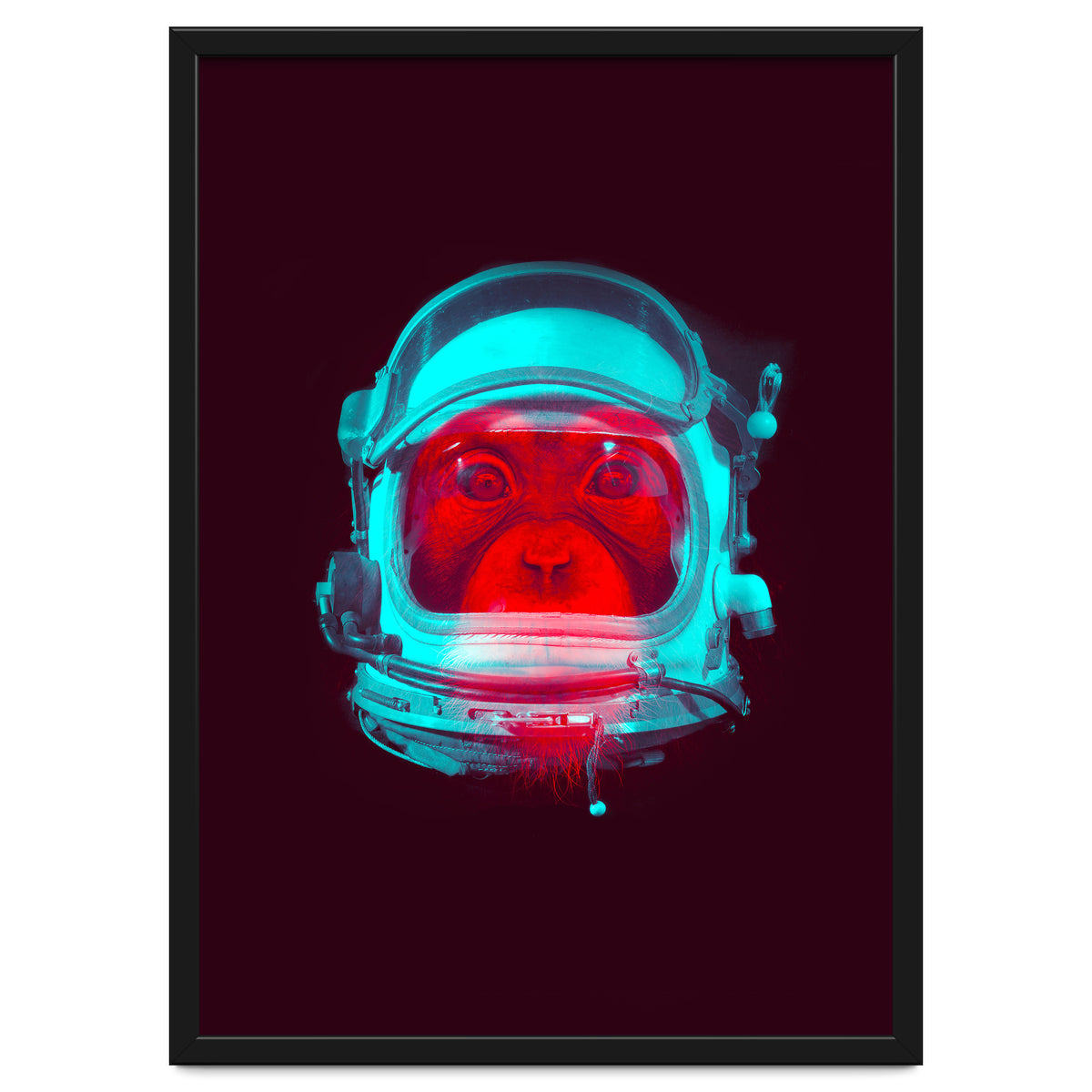 Astronaut